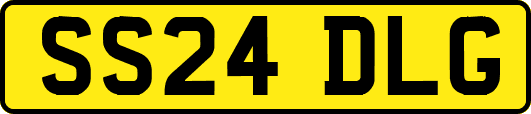 SS24DLG