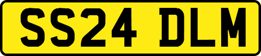 SS24DLM