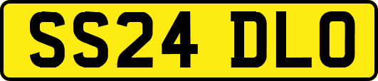 SS24DLO