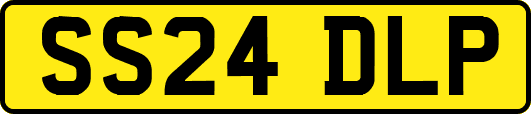 SS24DLP