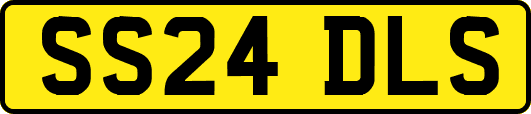 SS24DLS
