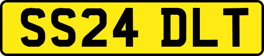 SS24DLT