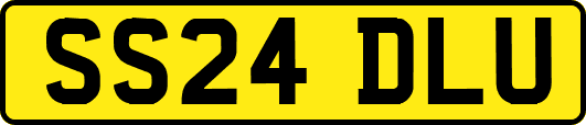 SS24DLU