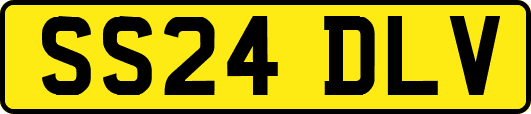 SS24DLV