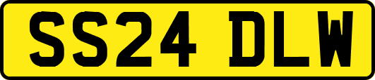 SS24DLW