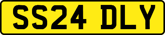 SS24DLY
