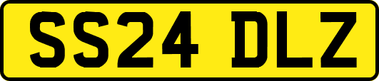 SS24DLZ
