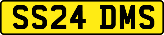 SS24DMS