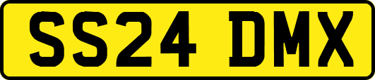 SS24DMX