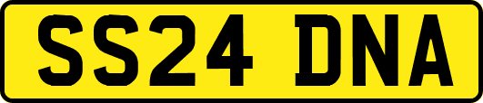 SS24DNA