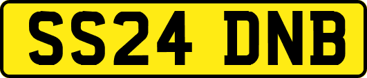 SS24DNB