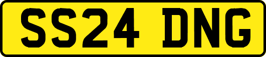 SS24DNG