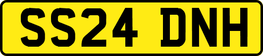 SS24DNH