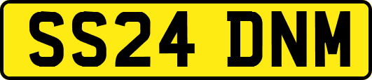 SS24DNM