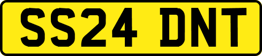 SS24DNT