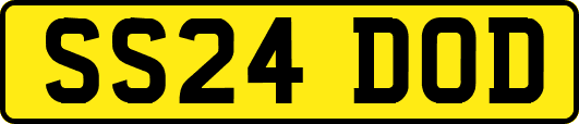 SS24DOD