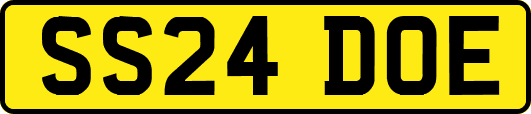 SS24DOE