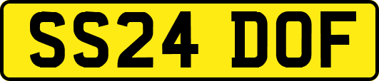SS24DOF