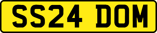 SS24DOM