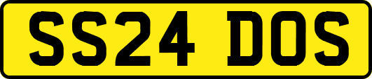 SS24DOS