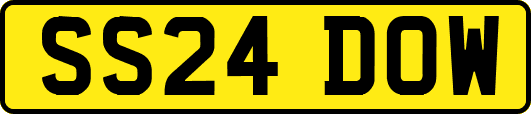 SS24DOW