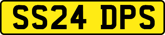 SS24DPS