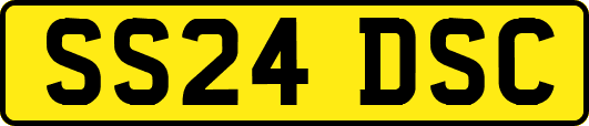 SS24DSC