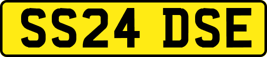 SS24DSE
