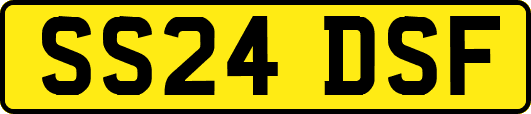 SS24DSF
