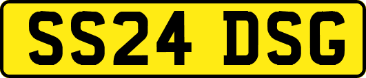 SS24DSG