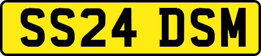 SS24DSM