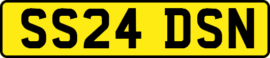 SS24DSN