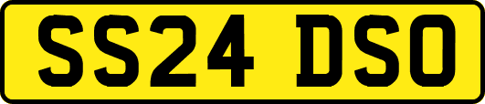 SS24DSO