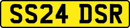 SS24DSR
