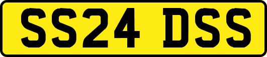 SS24DSS