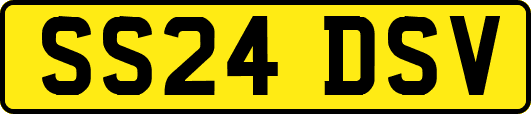 SS24DSV