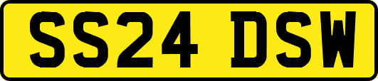 SS24DSW