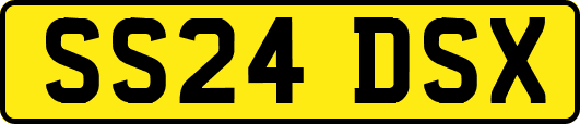 SS24DSX