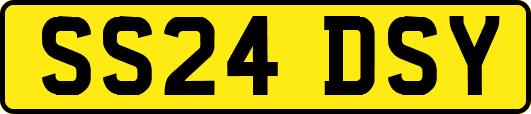 SS24DSY