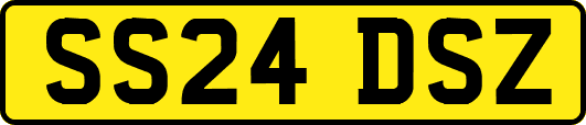 SS24DSZ