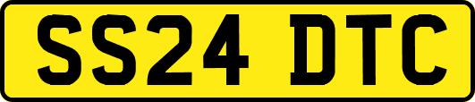 SS24DTC