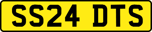 SS24DTS