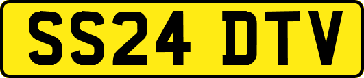 SS24DTV