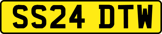 SS24DTW