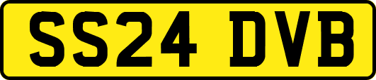 SS24DVB