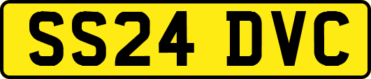 SS24DVC