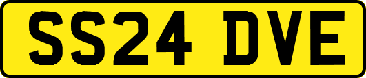 SS24DVE