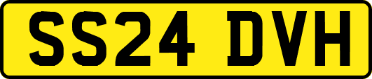 SS24DVH