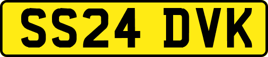 SS24DVK