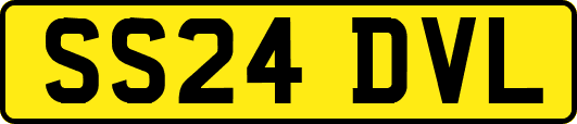 SS24DVL